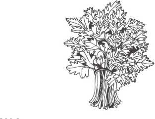 Иллюстрация к книге — Рефлексы богатства и успеха [i_031.jpg]