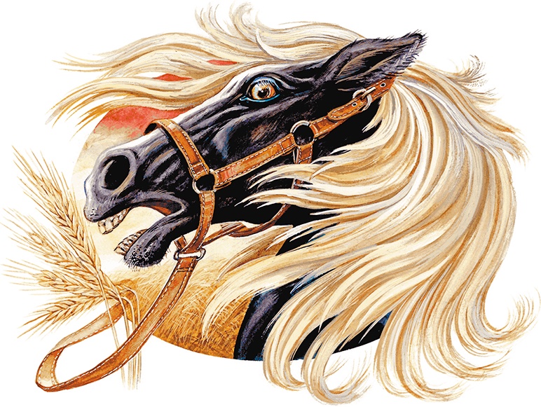 Иллюстрация к книге — Сказки о природе [i_003.jpg]