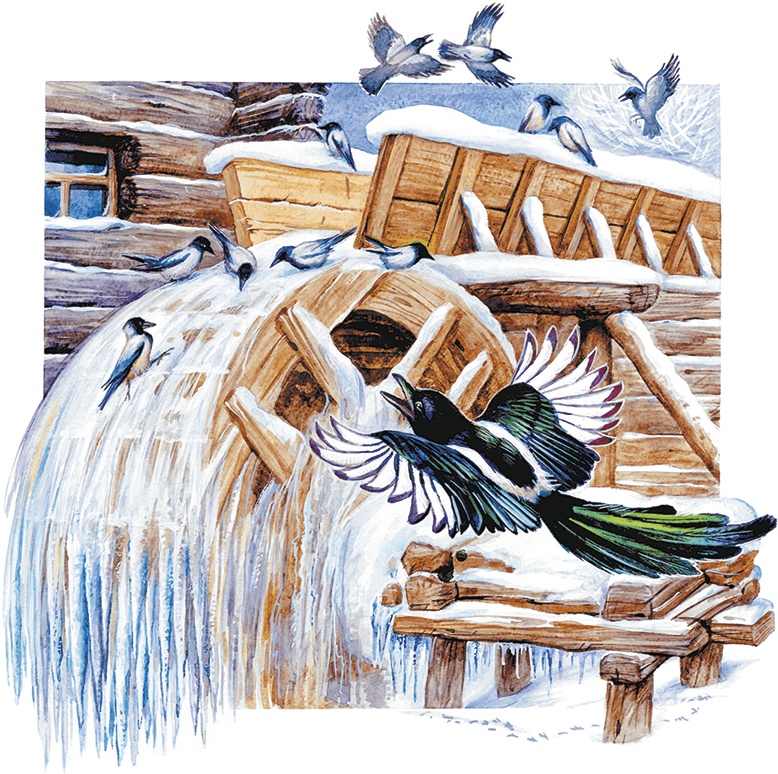 Иллюстрация к книге — Сказки о природе [i_010.jpg]