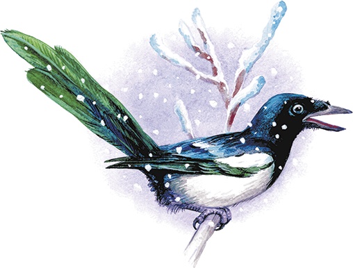 Иллюстрация к книге — Сказки о природе [i_013.jpg]