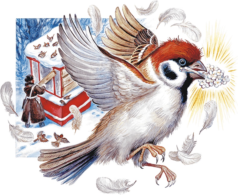 Иллюстрация к книге — Сказки о природе [i_026.jpg]