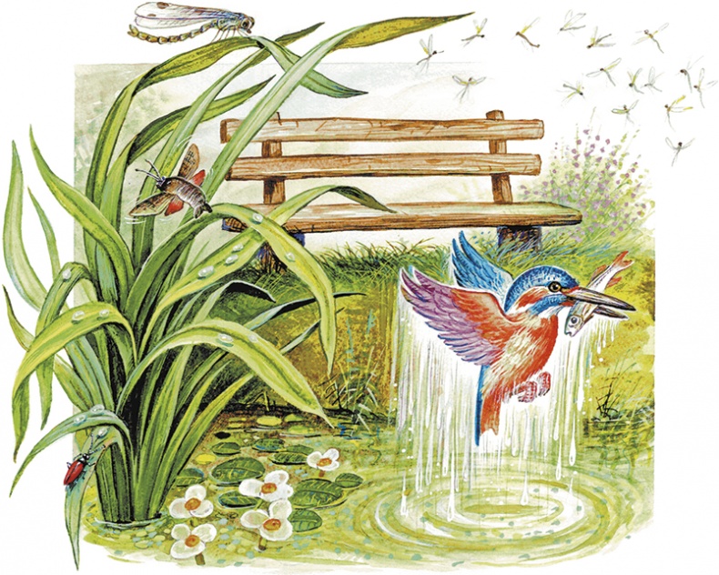 Иллюстрация к книге — Сказки о природе [i_032.jpg]