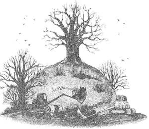 Иллюстрация к книге — Фантастический мистер Фокс [i_010.jpg]