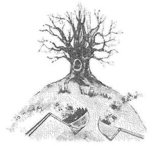 Иллюстрация к книге — Фантастический мистер Фокс [i_011.jpg]