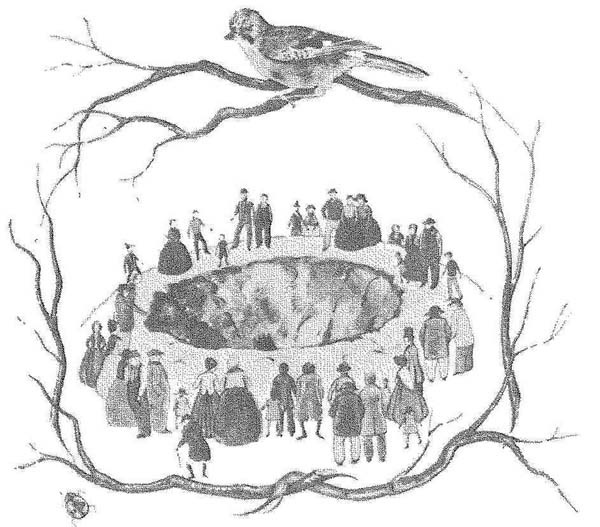 Иллюстрация к книге — Фантастический мистер Фокс [i_014.jpg]