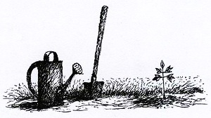 Иллюстрация к книге — Спасибо Уинн-Дикси [i_045.jpg]