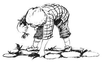 Иллюстрация к книге — Парящий тигр [i_028.jpg]