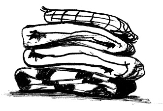 Иллюстрация к книге — Парящий тигр [i_044.jpg]