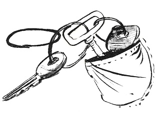 Иллюстрация к книге — Парящий тигр [i_061.jpg]