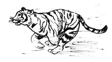 Иллюстрация к книге — Парящий тигр [i_069.jpg]