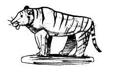 Иллюстрация к книге — Парящий тигр [i_080.jpg]