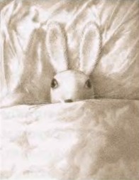 Иллюстрация к книге — Удивительное путешествие кролика Эдварда [i_006.jpg]