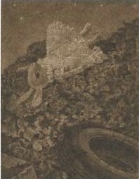 Иллюстрация к книге — Удивительное путешествие кролика Эдварда [i_016.jpg]