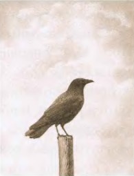 Иллюстрация к книге — Удивительное путешествие кролика Эдварда [i_021.jpg]