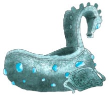 Иллюстрация к книге — Диковины [i_030.jpg]