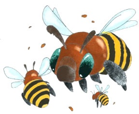 Иллюстрация к книге — Диковины [i_049.jpg]