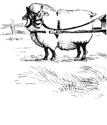 Иллюстрация к книге — Кенни и дракон [i_025.jpg]