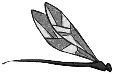 Иллюстрация к книге — Алмазные стрекозы [img29.jpg]