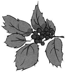 Иллюстрация к книге — Алмазные стрекозы [img30.jpg]