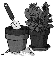 Иллюстрация к книге — Алмазные стрекозы [img41.jpg]