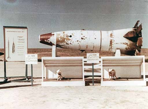 Иллюстрация к книге — Великие умы России. Том 13. Михаил Янгель [i_020.jpg]