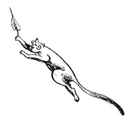 Иллюстрация к книге — Очень. Петербургские сказки [pic_19.jpg]