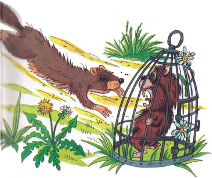 Иллюстрация к книге — Хитрая ворона [i_012.jpg]