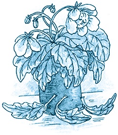 Иллюстрация к книге — Кампан (сборник) [i_027.jpg]