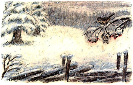 Иллюстрация к книге — Кривуля [img11.jpg]