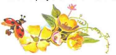 Иллюстрация к книге — Королевство цветов [i_016.jpg]