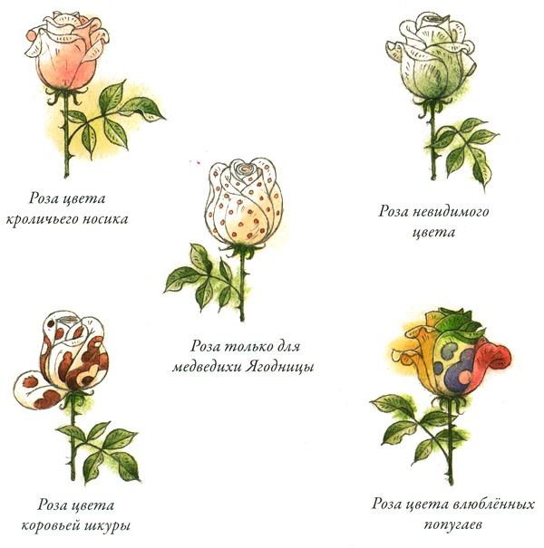 Иллюстрация к книге — Садовник Флоренций [i_009.jpg]