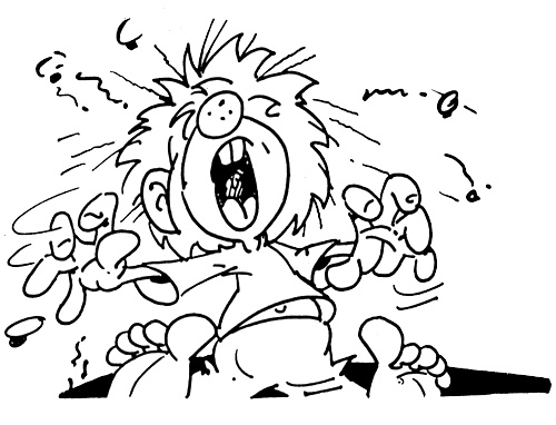 Иллюстрация к книге — И снова Пумукль [i_003.jpg]