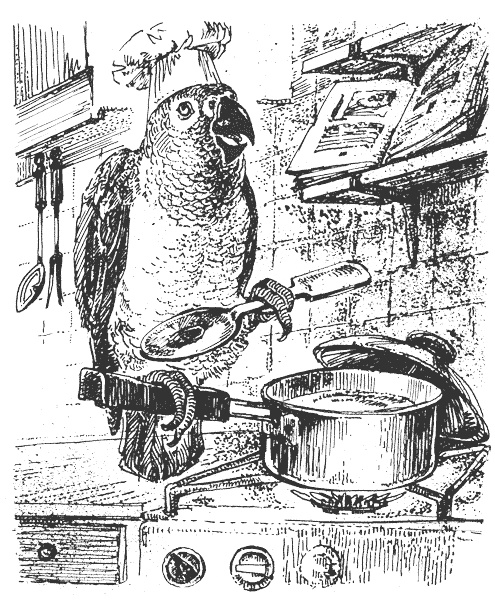 Иллюстрация к книге — Гарри и попугай [i_009.jpg]