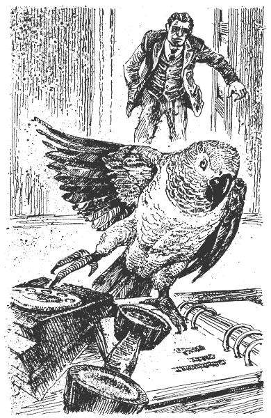 Иллюстрация к книге — Гарри и попугай [i_010.jpg]