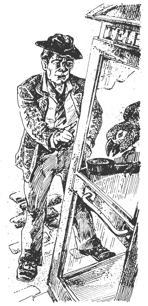 Иллюстрация к книге — Гарри и попугай [i_013.jpg]