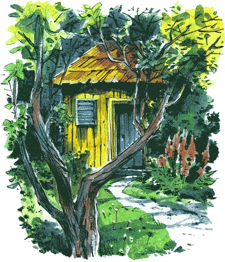 Иллюстрация к книге — Нос королевы [img02.jpg]