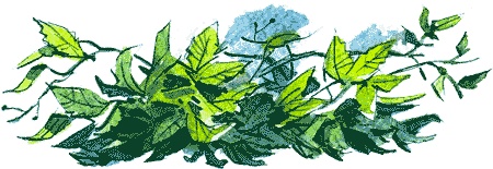 Иллюстрация к книге — Нос королевы [img03.jpg]