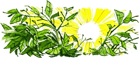 Иллюстрация к книге — Нос королевы [img12.jpg]