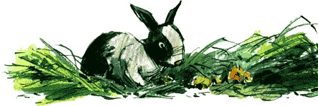 Иллюстрация к книге — Нос королевы [img27.jpg]