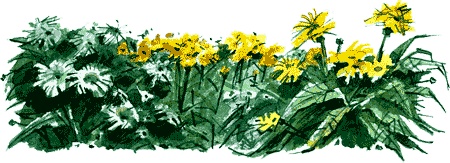 Иллюстрация к книге — Нос королевы [img36.jpg]