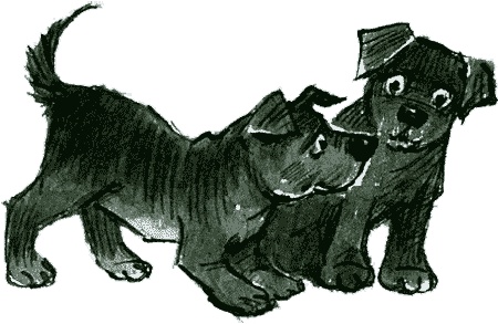 Иллюстрация к книге — Нос королевы [img82.jpg]