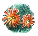 Иллюстрация к книге — Леди Дейзи [i_013.jpg]