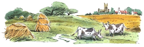 Иллюстрация к книге — Леди Дейзи [i_014.jpg]