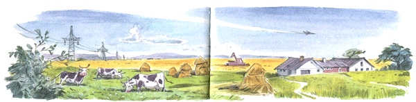 Иллюстрация к книге — Леди Дейзи [i_016.jpg]