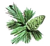 Иллюстрация к книге — Леди Дейзи [i_031.jpg]