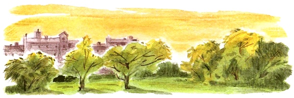 Иллюстрация к книге — Леди Дейзи [i_046.jpg]