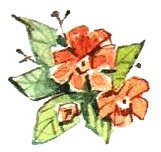 Иллюстрация к книге — Леди Дейзи [i_062.jpg]