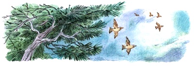 Иллюстрация к книге — Леди Дейзи [i_063.jpg]