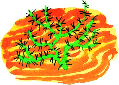 Иллюстрация к книге — Как появились броненосцы [i_032.jpg]