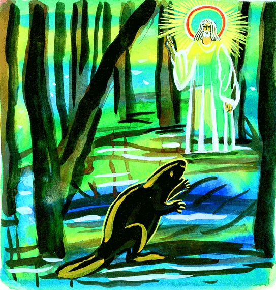 Иллюстрация к книге — Мотылек, который топнул ногой [i_009.jpg]